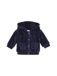 Gilet en velours navy  - Noppies