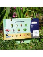 CALENDRIER GENIUS - les petits architectes
