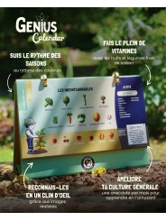 CALENDRIER GENIUS - les petits architectes