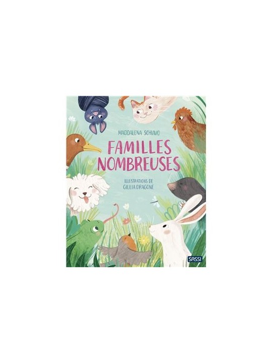 Familles Nombreuses - Sassi