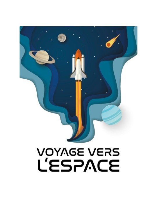 La navette spatiale 3D - Sassi