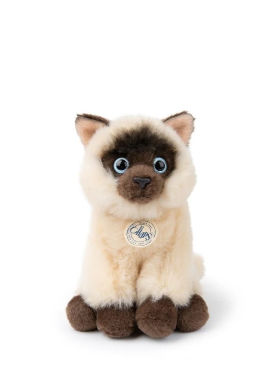 BT Chaps Eddie le chat siamois dans sa boîte cadeau 17cm  - Bon Ton Toys