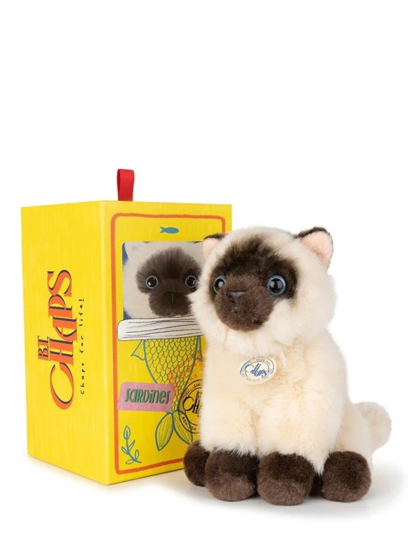 BT Chaps Eddie le chat siamois dans sa boîte cadeau 17cm  - Bon Ton Toys