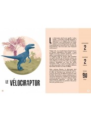 L'ère des dinosaures - Le Stégosaure - Sassi