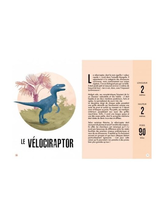 L'ère des dinosaures - Le Stégosaure - Sassi