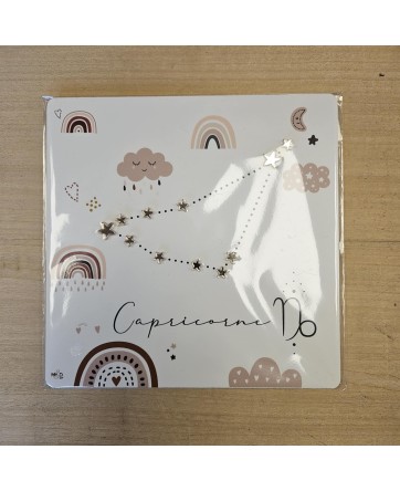 Cadre astro - Capricorne - Arc-en-ciel - My&Dco