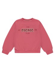 SweatShirt - PicNic - Stains & Stories