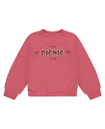 SweatShirt - PicNic - Stains & Stories