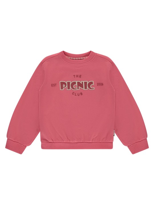 SweatShirt - PicNic - Stains & Stories