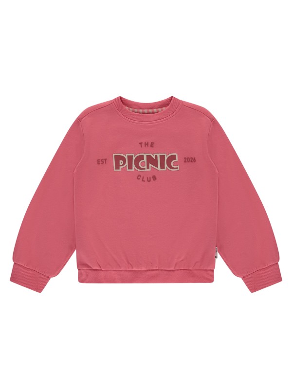 SweatShirt - PicNic - Stains & Stories