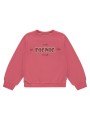 SweatShirt - PicNic - Stains & Stories
