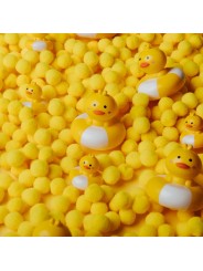 Canards à Bulles - Jaune - Petit Boum