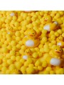 Canards à Bulles - Jaune - Petit Boum