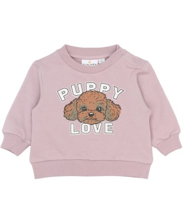 Pull - The New - SS26