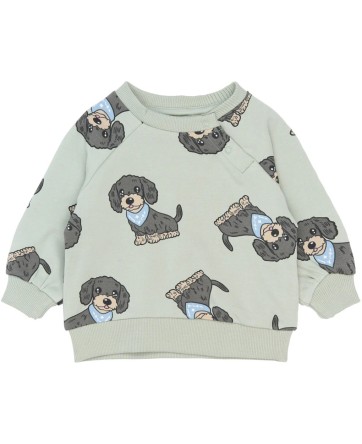 Pull - The New - SS26
