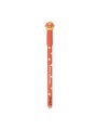 Stylo effaçable Bo-Bo – Champignon - Mr Wonderful