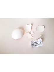 Oeuf à craquer annonce grossesse - Pamela Loops