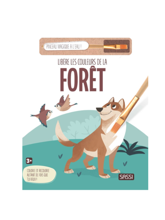 Libère les couleurs de la forêt - Sassi