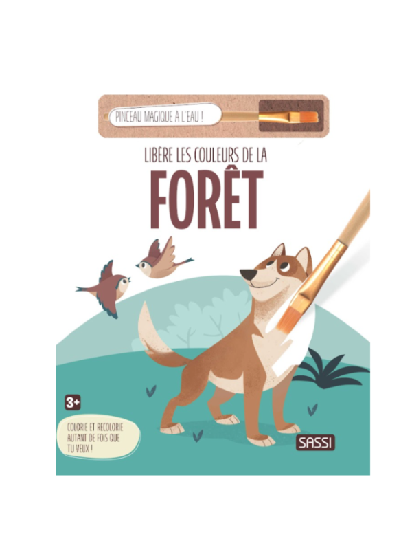 Libère les couleurs de la forêt - Sassi