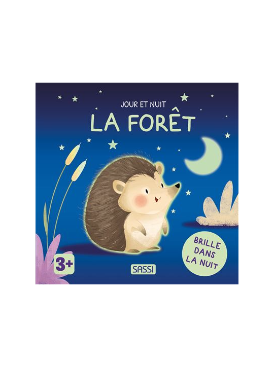 Jour et nuit - La forêt - Sassi