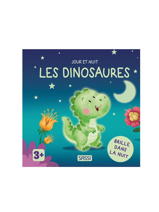 Jour et nuit - Les dinausores - Sassi