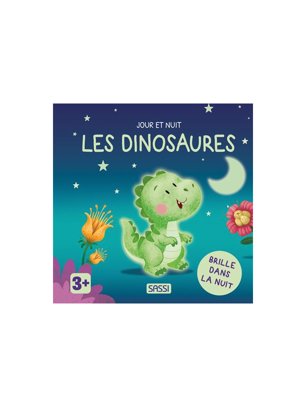 Jour et nuit - Les dinausores - Sassi