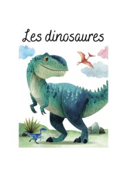 Puzzle magique à l'eau - Les dinosaures - Sassi
