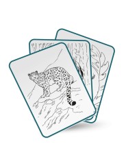 Kidydraw Pad - Animals - KIDYWOLF