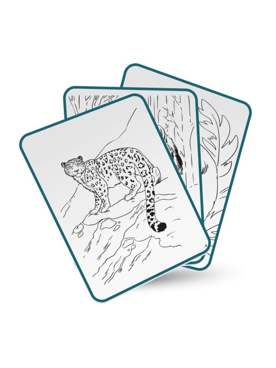 Kidydraw Pad - Animals - KIDYWOLF