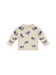 Pull - Myrtille - BabyFace