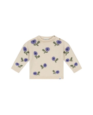 Pull - Myrtille - BabyFace