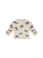 Pull - Myrtille - BabyFace