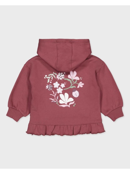 Pull / Sweat - Coccinelle - Quapi