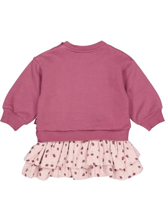 Robe - Coccinelle - Quapi