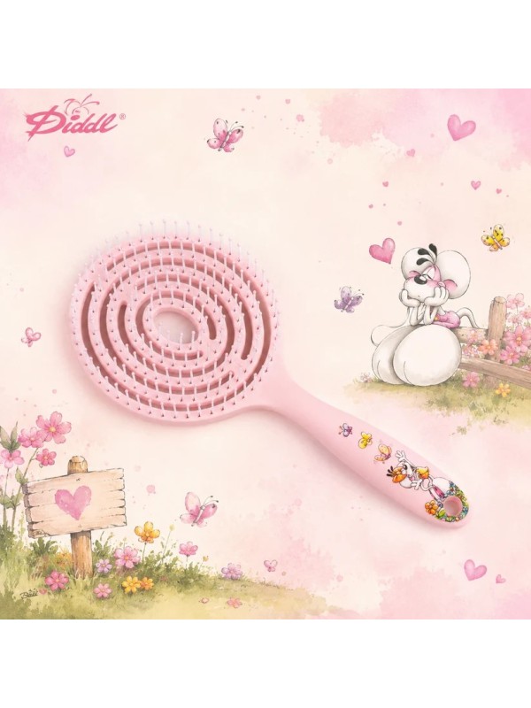 Brosse à cheveux  - Diddl