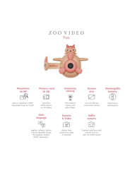 Caméra Zoo Video - Renard - The Zoofamily