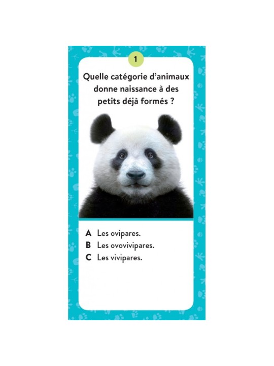 Le coffret du méga atlas des animaux  - Sassi