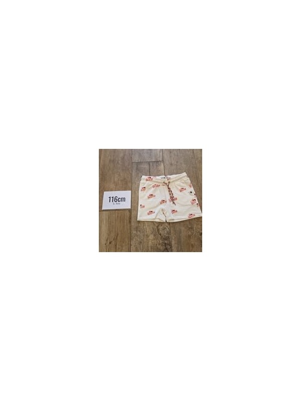 SHORT STAINS&STORIES- 116cm