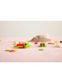 Tube Tortue – 100 Pcs - Plus Plus